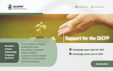 Support for the DJCFP