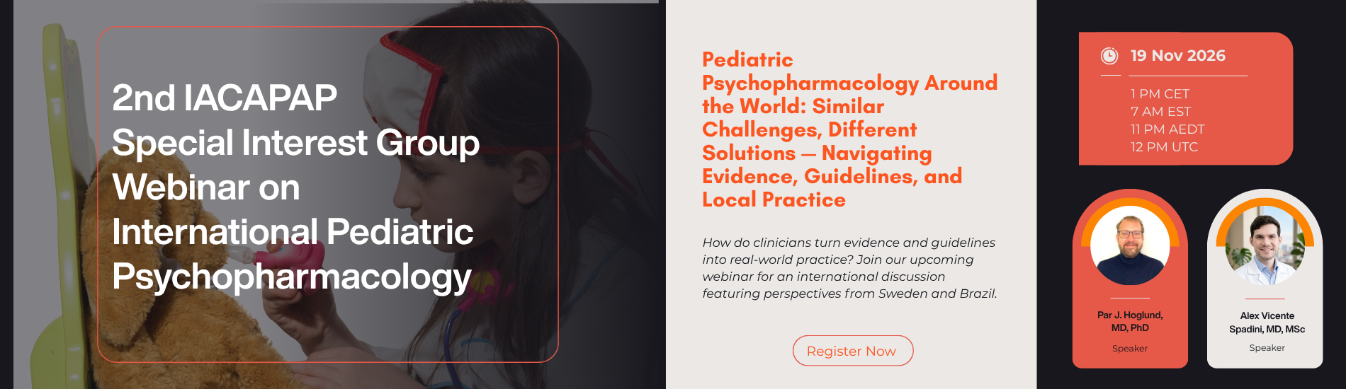2nd SIG webinar on IPP
