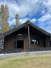 Māori Mental Health: Current Challenges and Success Stories